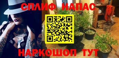 гидропоника Канаш