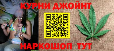 сатива Камышлов