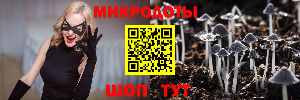 Галлюциногенные грибы Cubensis Лабытнанги